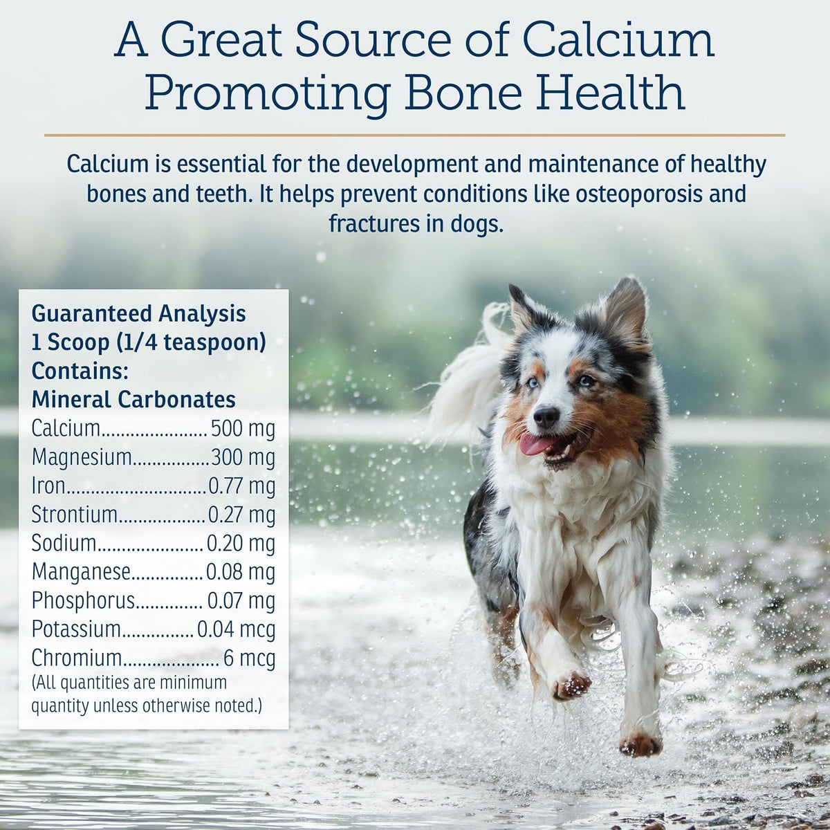 Rx Vitamins Canine Minerals - Minerales – Magnesio: necesario para la función muscular, nerviosa y cardiovascular. – Image 5