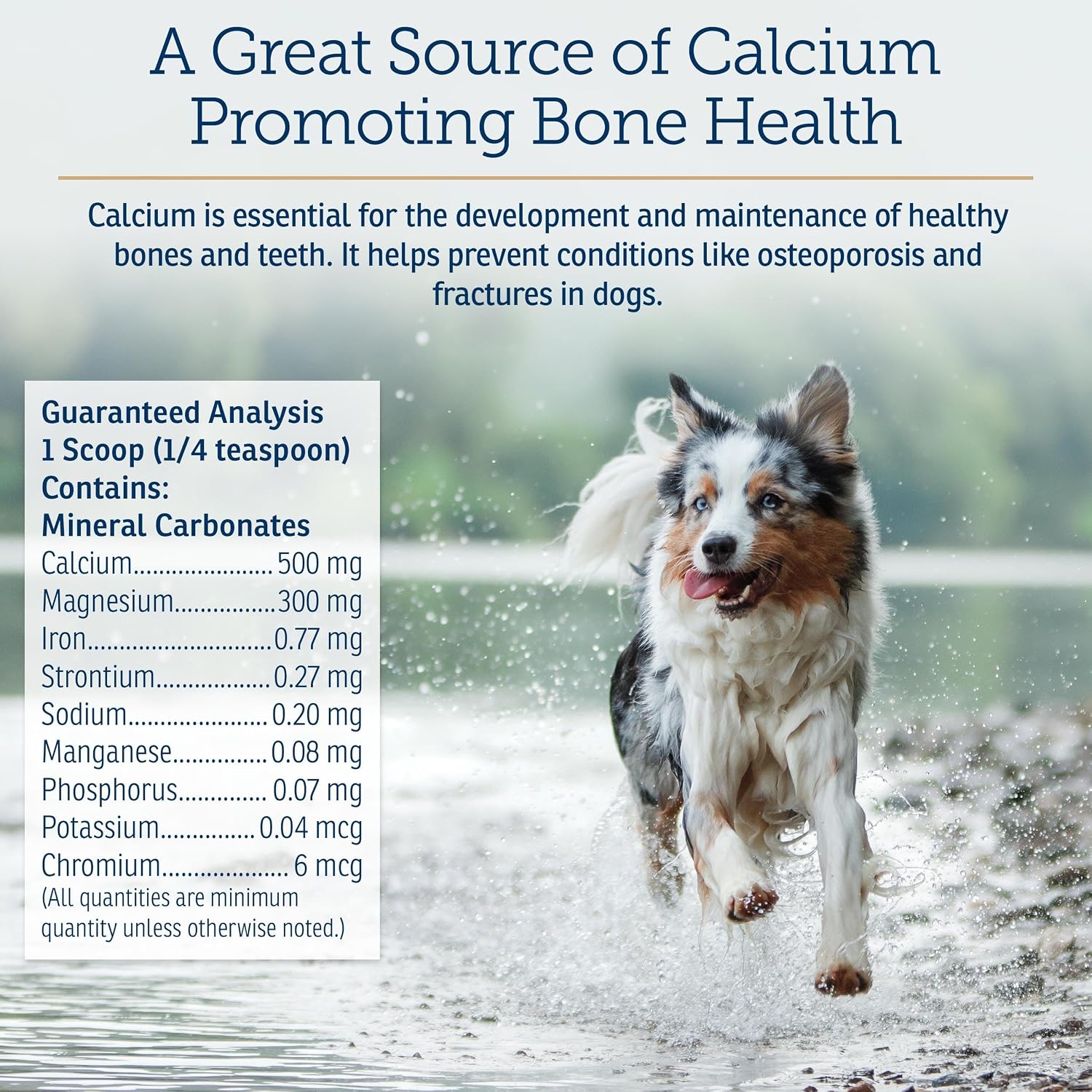 Rx Vitamins Canine Minerals - Minerales Esenciales para Perros - Calcio, Magnesio, Hierro - 454 g