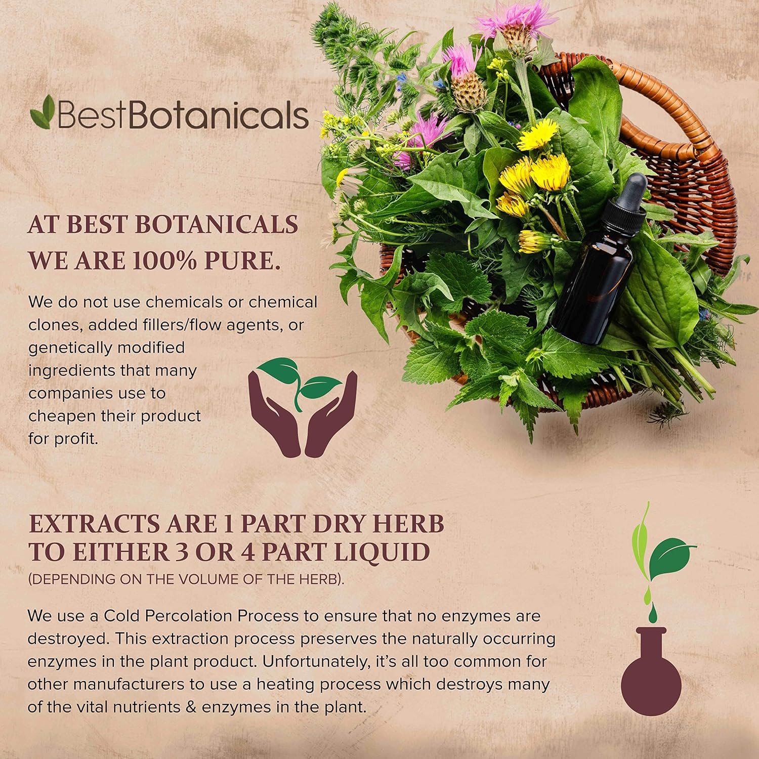 Mejores Botánicos Eufrasia Hierba Cortada 16 oz