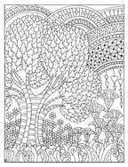 Creative Haven: Bosque Enmarañado - Libro para colorear (Libros para colorear para adultos: Naturaleza)