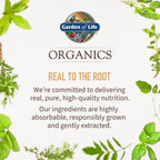 Garden of Life Organics Raíz de Maca Orgánica de Comercio Justo, Energía, 225 g