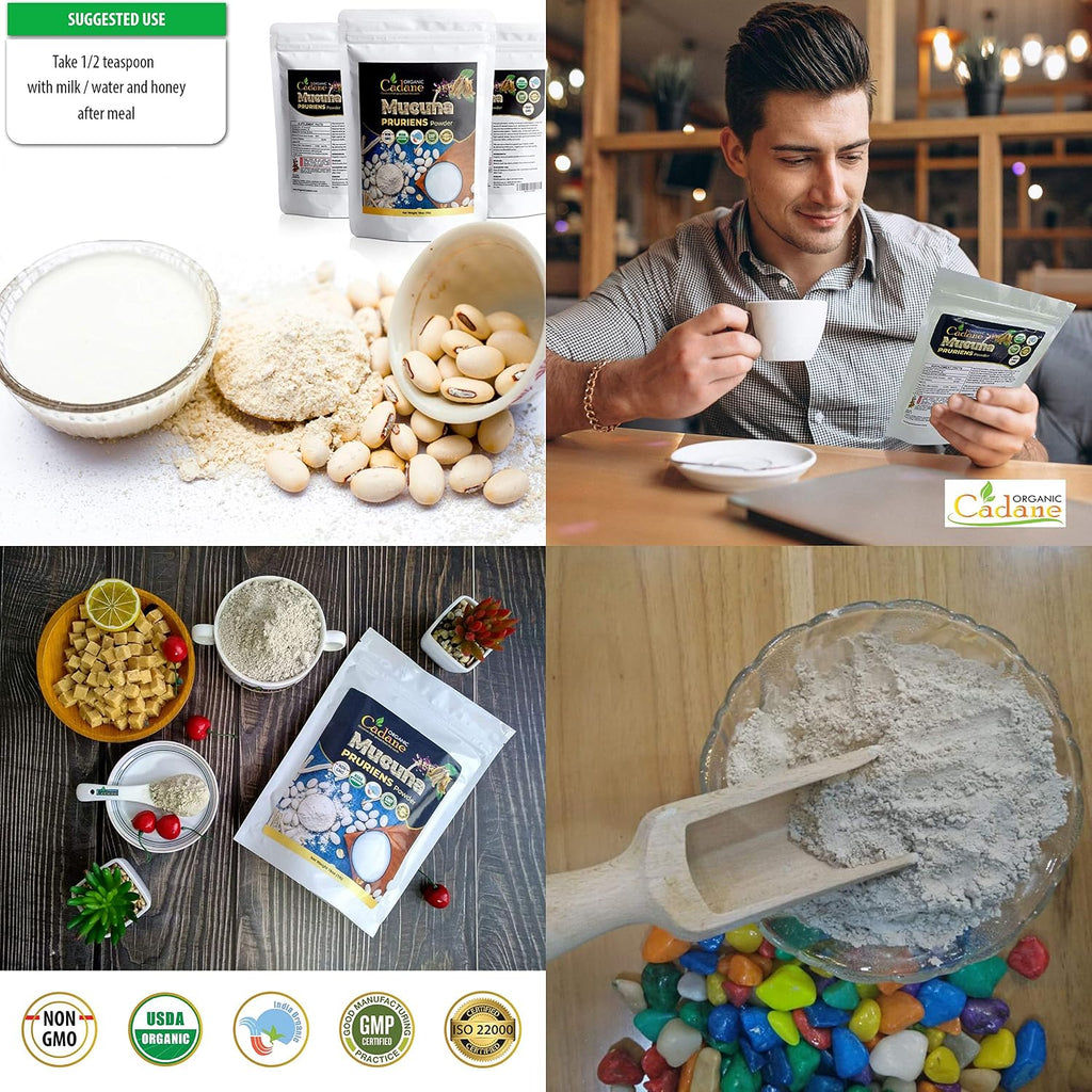 Organic Cadane Mucuna Pruriens en Polvo 1 Libra | Ayuda a la Salud Cerebral, Inmunidad y Energía | Certificado USDA Vegano