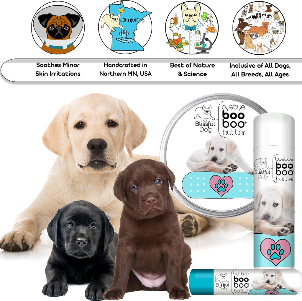 The Blissful Dog 14 g Tube Labrador Retriever Booboo Butter
