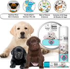 The Blissful Dog 14 g Tube Labrador Retriever Booboo Butter