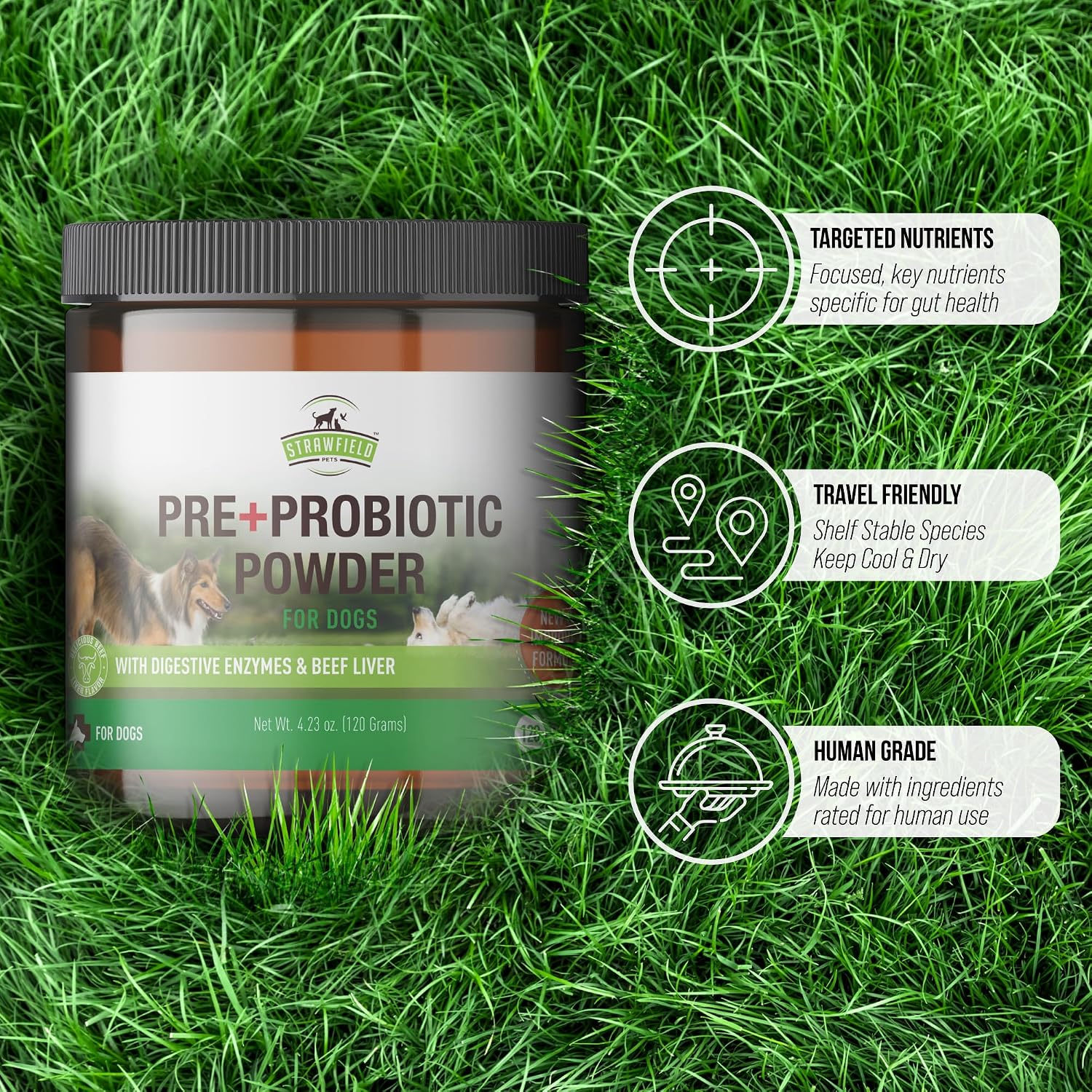 Pre + Probiotic Powder for Dogs with Digestive Enzymes - Sabor a Hígado de Ternera Natural - 120 Dosis
