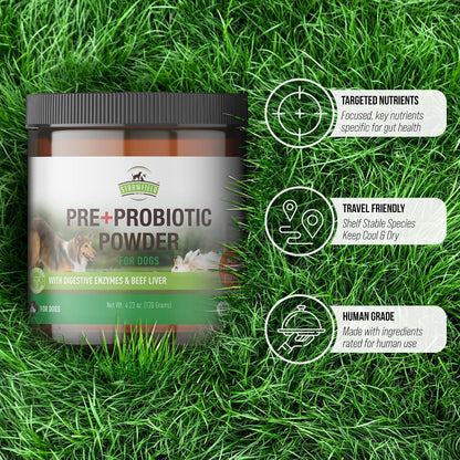 Pre + Probiotic Powder for Dogs with – Favorecer un tránsito intestinal regular. – Image 7