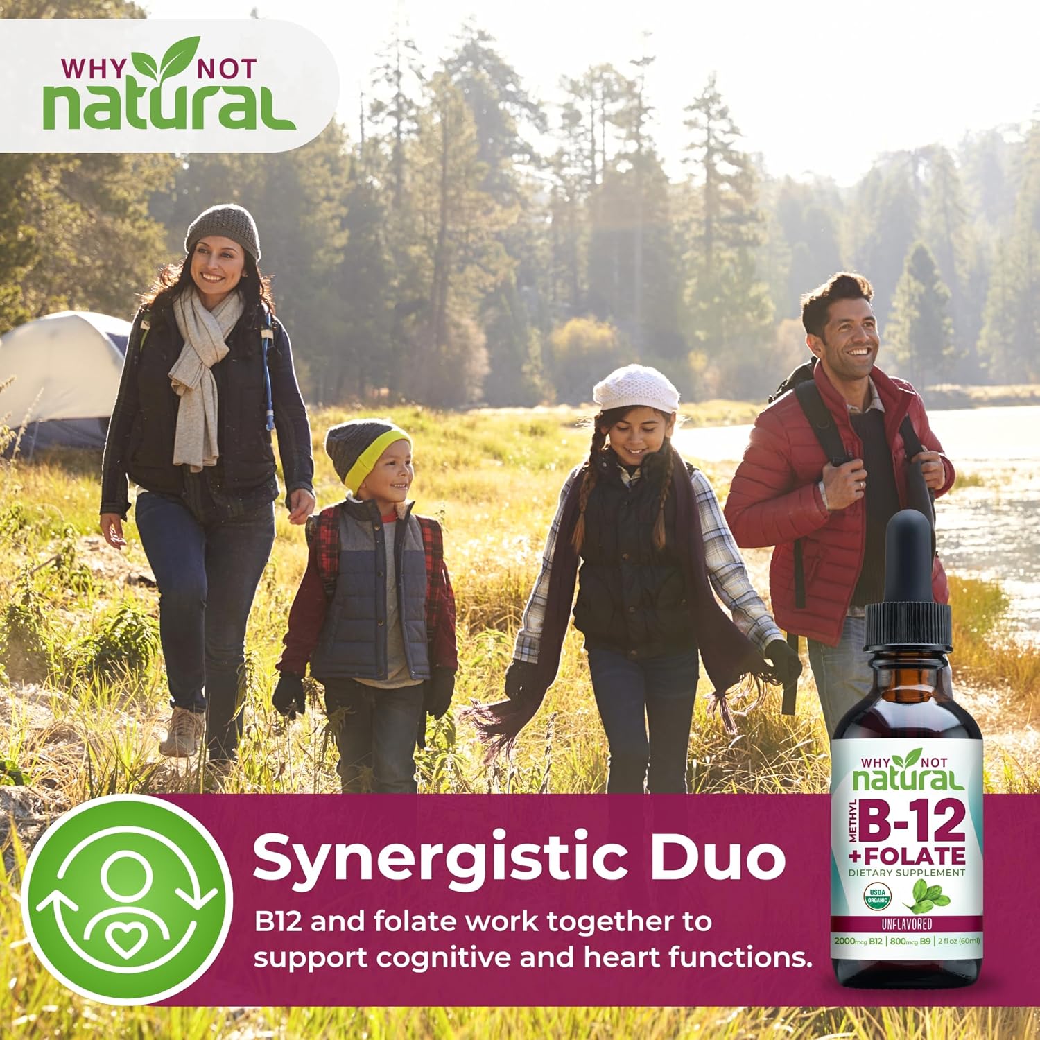 Why Not Natural Vitamin B12 Liquid Plus Folate - Gotas Sublinguales Orgánicas Extra Fuertes Veganas con Metilcobalamina y Ácido Folínico