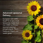 Allergy Research Group NutriCology Micro Liposomal C 1000 mg - Vitamina C Líquida Liposomal - 120 ml (24 porciones)