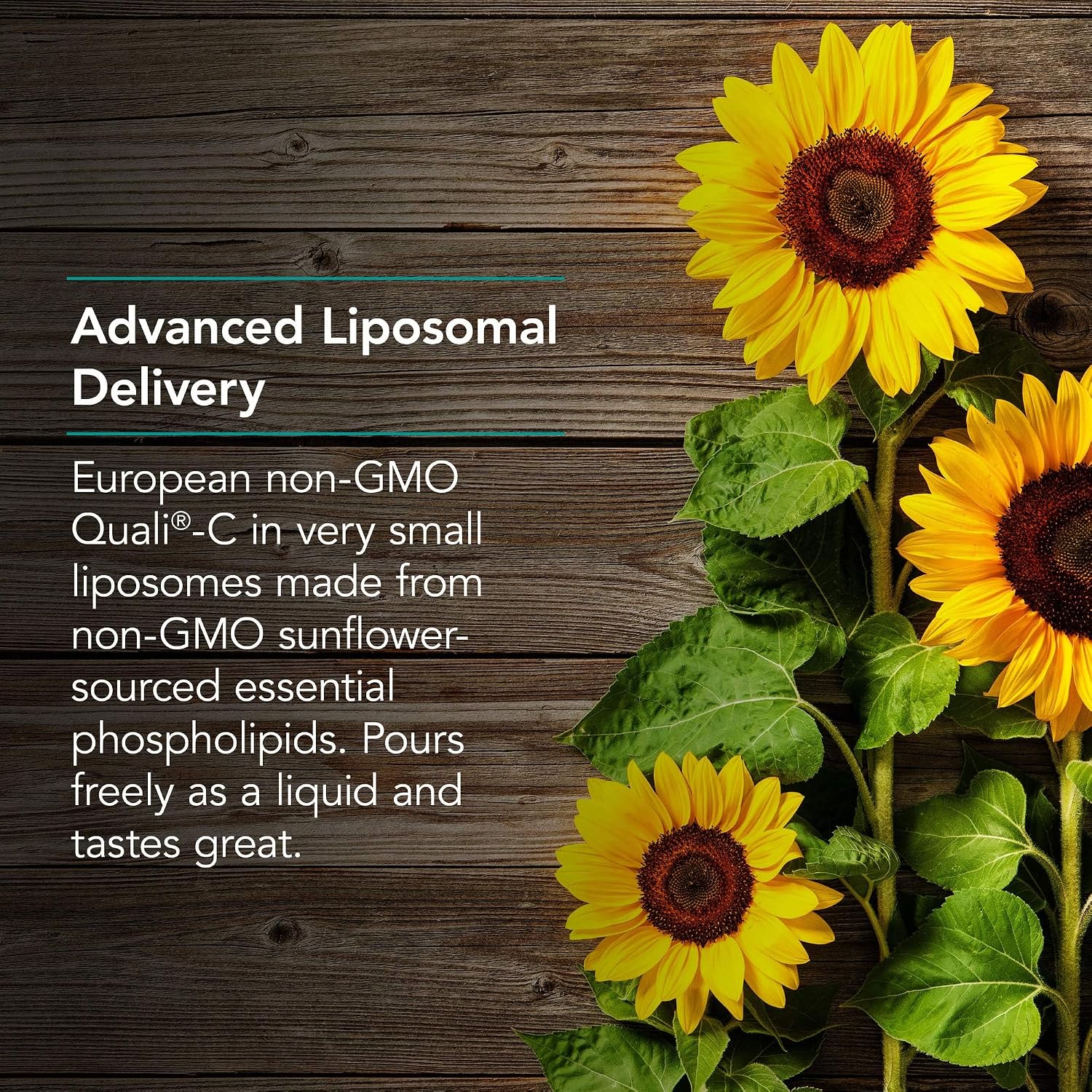 Allergy Research Group NutriCology Micro Liposomal C 1000 mg - Vitamina C Líquida Liposomal - 120 ml (24 porciones)