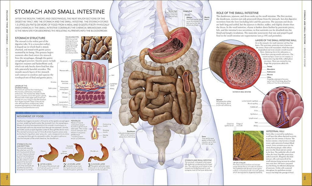 Libro del Cuerpo Humano