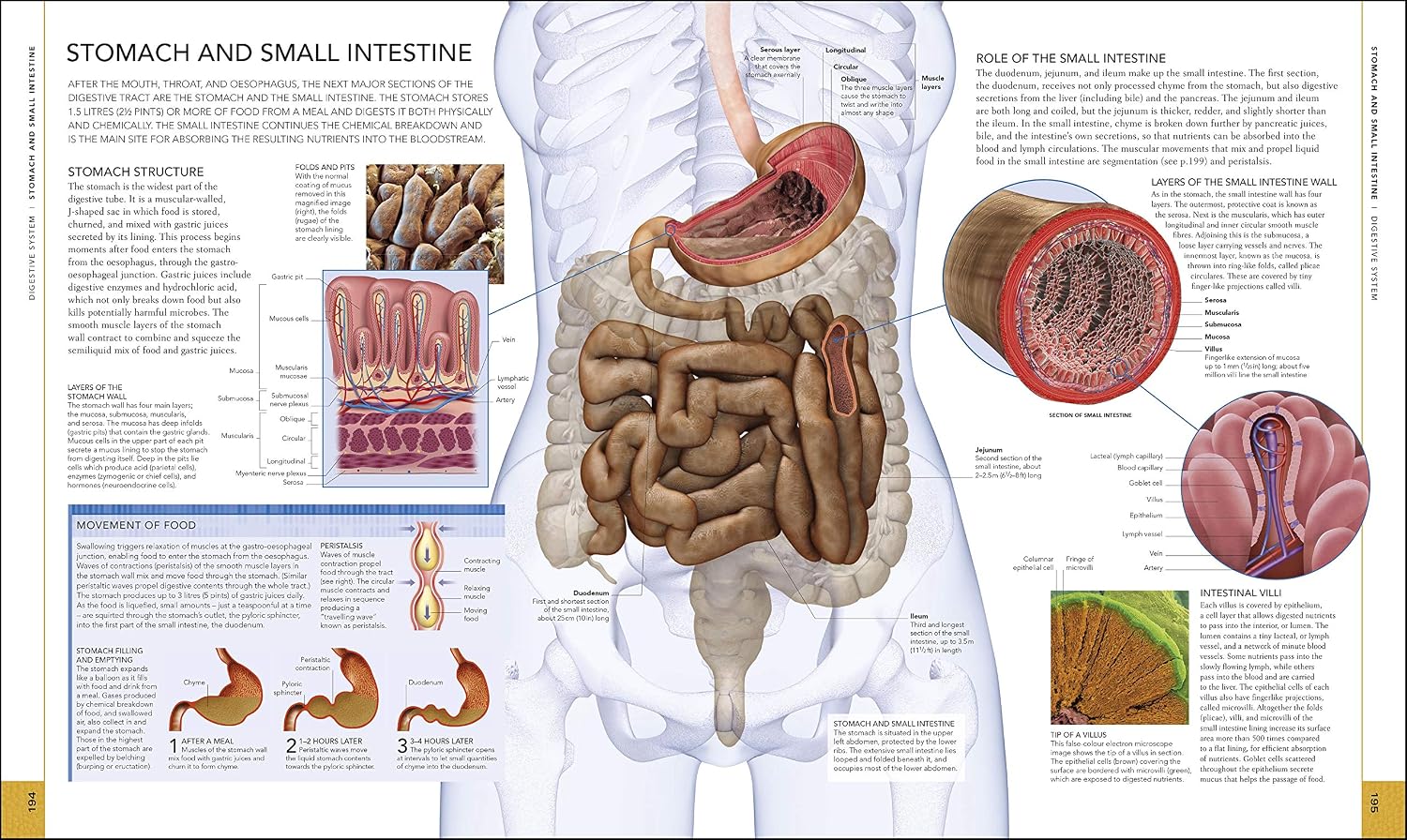 Libro del Cuerpo Humano
