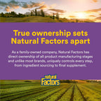 Natural Factors Pharma GABA - Suplemento para la Relajación, Sueño y Enfoque - 60 Comprimidos Masticables Vegetarianos