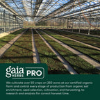 GAIA HERBS PRO Berberine Metabolic - Berberina HCI - 60 Cápsulas