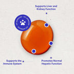 Wonder Paws Cardo Mariano para Perros - Soporte Hepático y Renal con Aceite de Salmón de Alaska y Cúrcuma (118 ml)