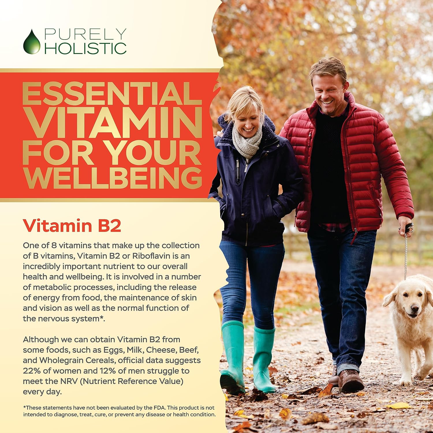 Purely Holistic Vitamina B2 Riboflavina 400mg - 240 Cápsulas Veganas, Suministro para 8 Meses - Alta Potencia - No OGM y Sin Gluten - Apoya la Producción de Energía y la Salud Celular