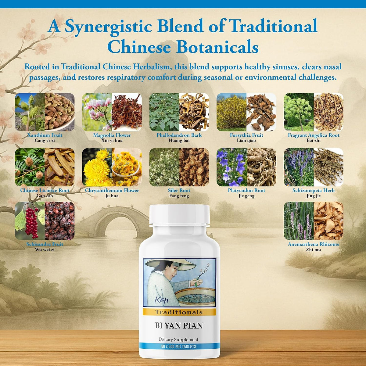 Kan Herbs Company Bi Yan Pian – Fórmula Herbal Tradicional China para la Salud Sinusal, 60 Comprimidos – Image 4