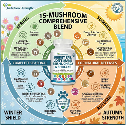 Nutrition Strength 15-in-1 Mushroom Support – Lion's Mane (Melena de León): Conocido por su potencial para apoyar – Image 2