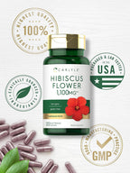 Carlyle Extracto de Flor de Hibisco | 120 Cápsulas | No Transgénico, Sin Gluten