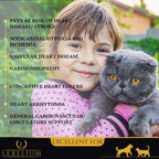Lexelium Suplemento Cardíaco para Perros y Gatos - Apoyo Cardiovascular con Taurina - Polvo Fácil de Mezclar - 200g