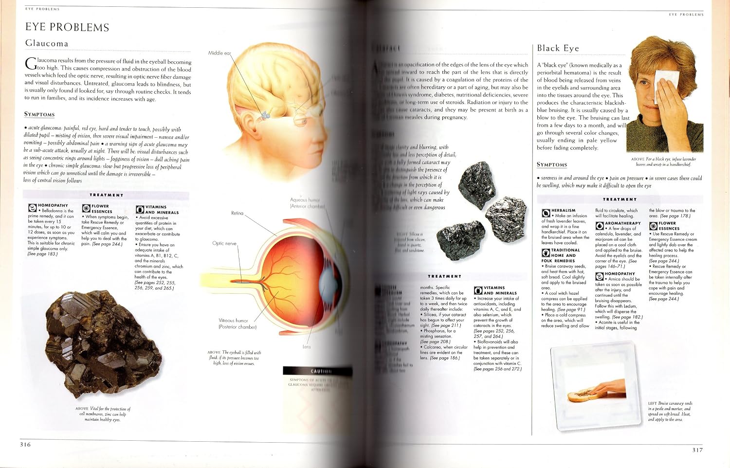 Illustrated Encyclopedia of Healing Remedies