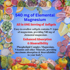 Nikoni Phospholipid Magnesium Complex 2500mg (9 Sales de Magnesio, 5 Vitaminas y 3 Minerales) (180 Cápsulas Blandas)