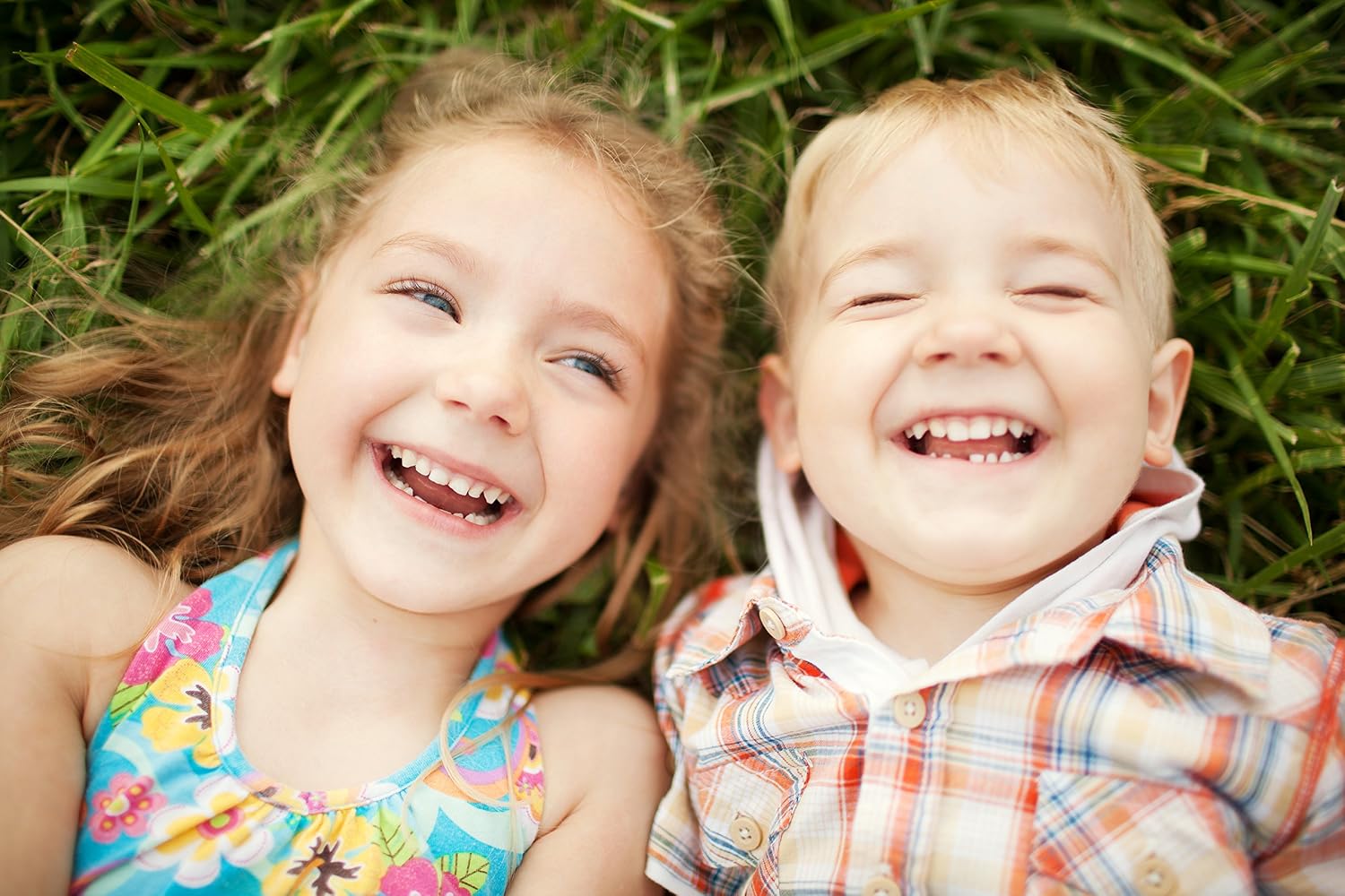 DrFormulas Nexabiotic Prebiotic Fiber Gummies for Kids & Adults - Digestive Health