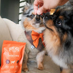 Hemp Well Snacks Blandos de Apoyo Inmunológico para Perros – Salud Intestinal (8 unidades)