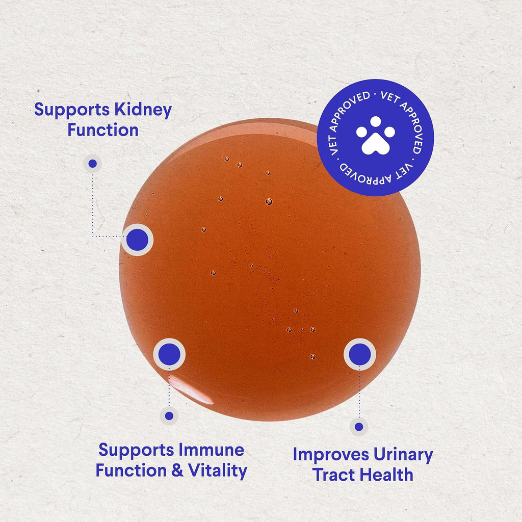Wonder Paws Premium Kidney Support for Dogs – Suplemento Líquido de Arándano para Perros – 60 ml