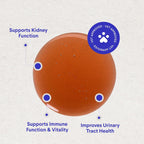 Wonder Paws Premium Kidney Support for Dogs – Suplemento Líquido de Arándano para Perros – 60 ml