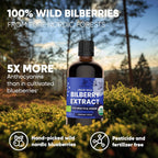 Extracto de Arándano Silvestre Ecológico - 2x100ml (Pack de 2)