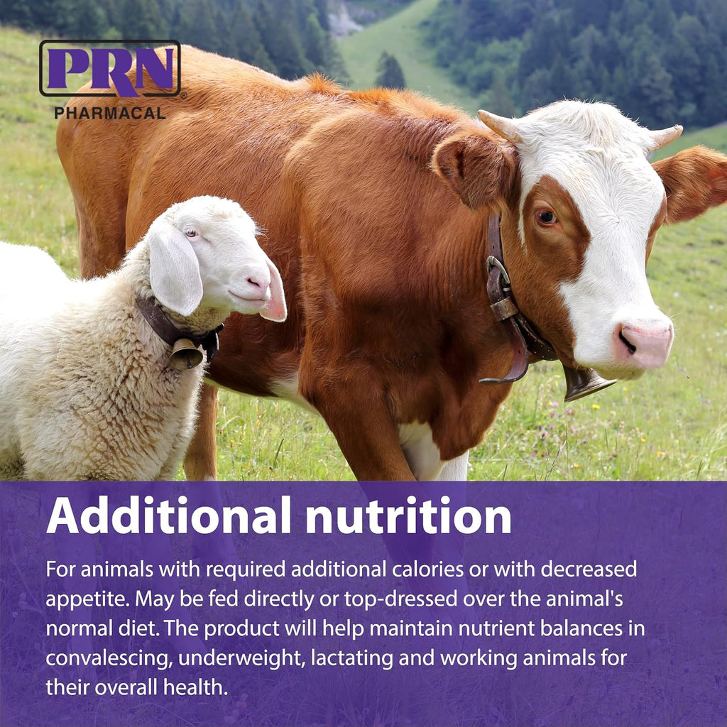PRN Pharmacal STAT - Complemento Nutricional Hipercalórico - Ayuda a Restaurar Hidratación y Nutrición - Con Vitaminas A, D3, C, E y Más - Sabor Vainilla - 473 ml