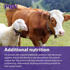 PRN Pharmacal STAT - Complemento Nutricional Hipercalórico - Ayuda a Restaurar Hidratación y Nutrición - Con Vitaminas A, D3, C, E y Más - Sabor Vainilla - 473 ml