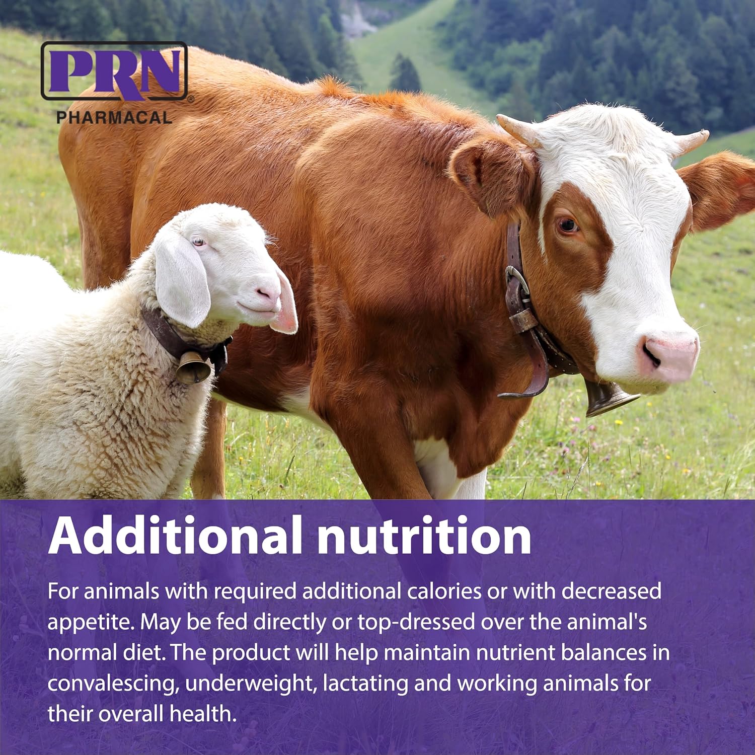 PRN Pharmacal STAT - Complemento Nutricional Hipercalórico - Ayuda a Restaurar Hidratación y Nutrición - Con Vitaminas A, D3, C, E y Más - Sabor Vainilla - 473 ml