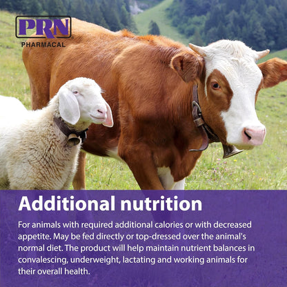 PRN Pharmacal STAT - Complemento Nutricional Hipercalórico - Ayuda a Restaurar Hidratación y Nutrición - Con Vitaminas A, – Image 5