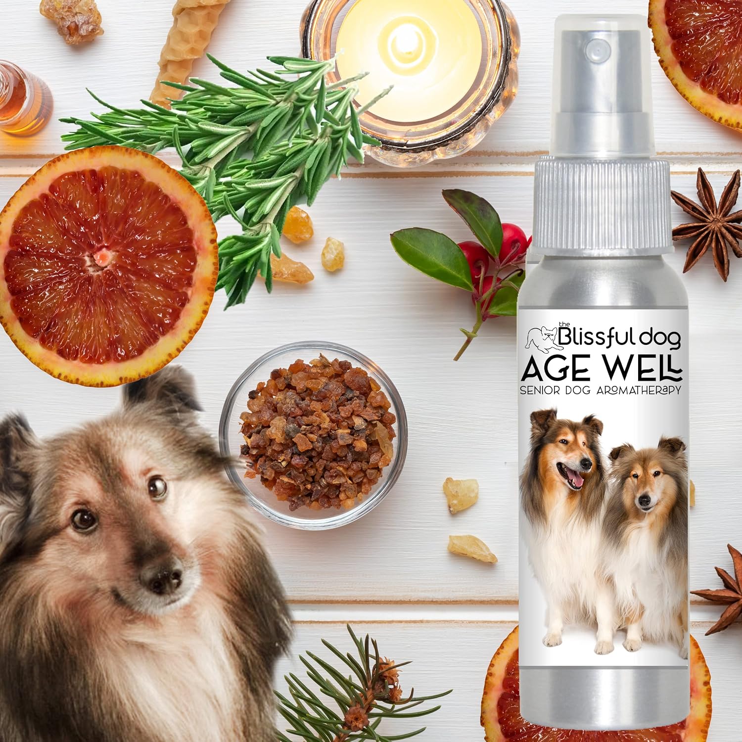 The Blissful Dog Shetland Sheepdog Age Well Spray Aromaterapia