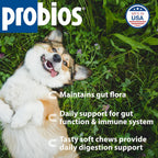 Probios Soft Chews Probióticos para Perros - Salud Digestiva e Inmune - 120 Masticables