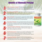 Vitaminas Prenatales para Mujeres | Postnatal | Vegano, Halal Sin Gelatina | con Folato, Hierro y Biotina | Apoyo para el Embarazo, Energía Postparto y Salud Capilar, 90 Cápsulas