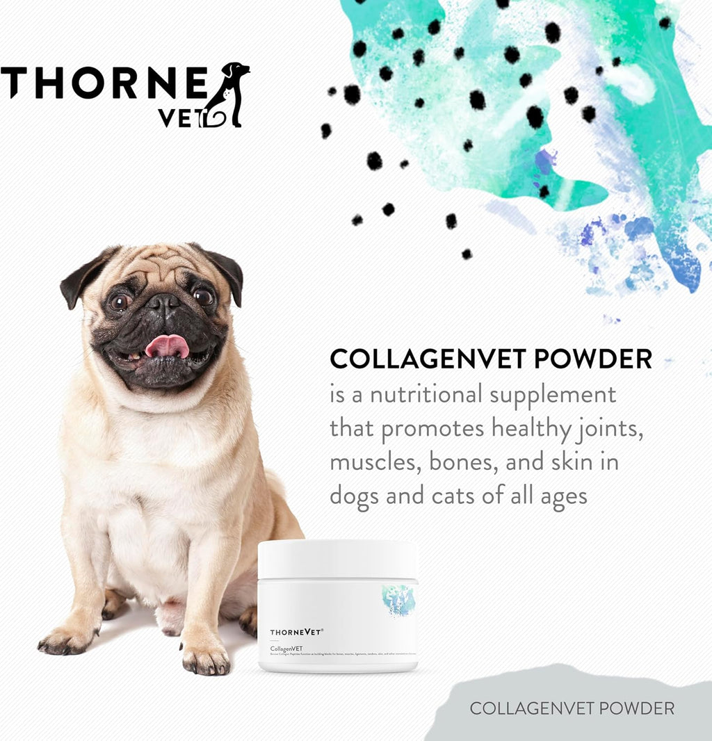 CollagenVET Colágeno para Perros y Gatos – Polvo para Articulaciones, Músculos, Huesos y Piel – 75 Dosis
