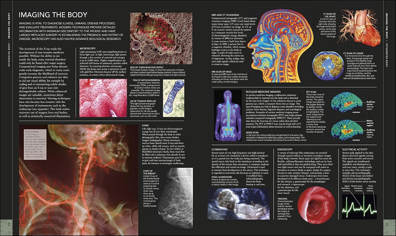 Libro del Cuerpo Humano