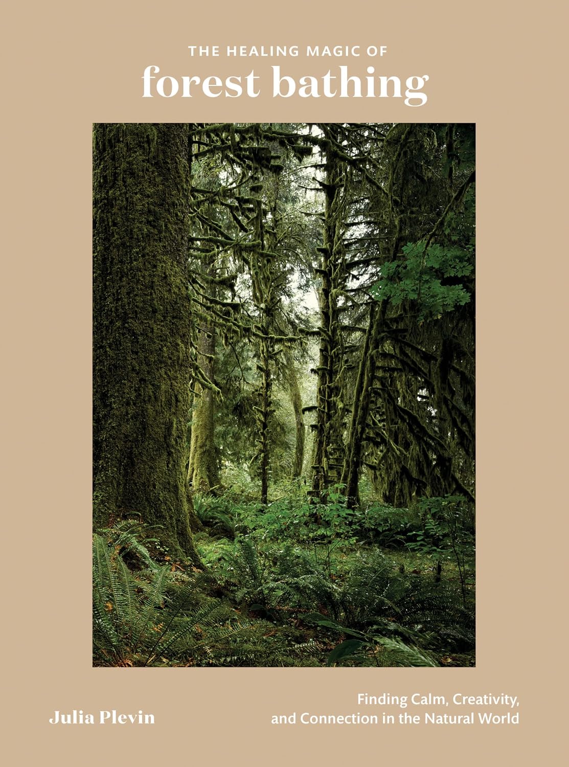 La magia curativa de los baños de bosque: cómo encontrar la calma, la creatividad y la conexión en el mundo natural