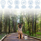 Strawfield Pets Multivitamínico + Probióticos para Cachorros - 120 Comprimidos Blandos Sabor Mantequilla de Cacahuete