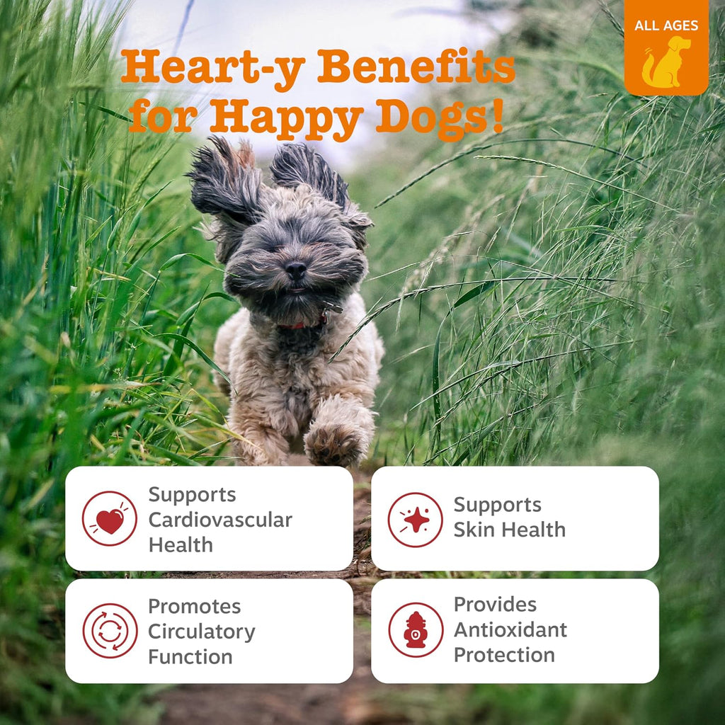 Zesty Paws Cardio Bites - Apoyo Cardiovascular para Perros - 90 Masticables sabor Salmón
