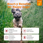 Zesty Paws Cardio Bites - Apoyo Cardiovascular para Perros - 90 Masticables sabor Salmón