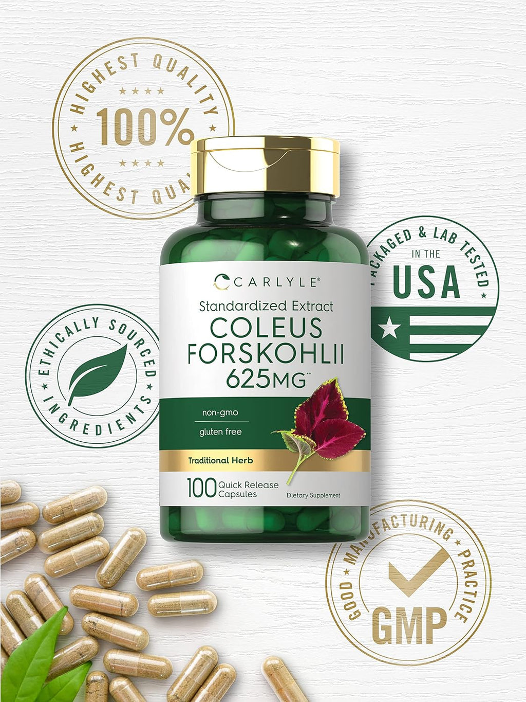 Carlyle Coleus Forskohlii Cápsulas - 100 Unidades | Extracto Estandarizado de Forskolina | Sin Gluten y No-GMO