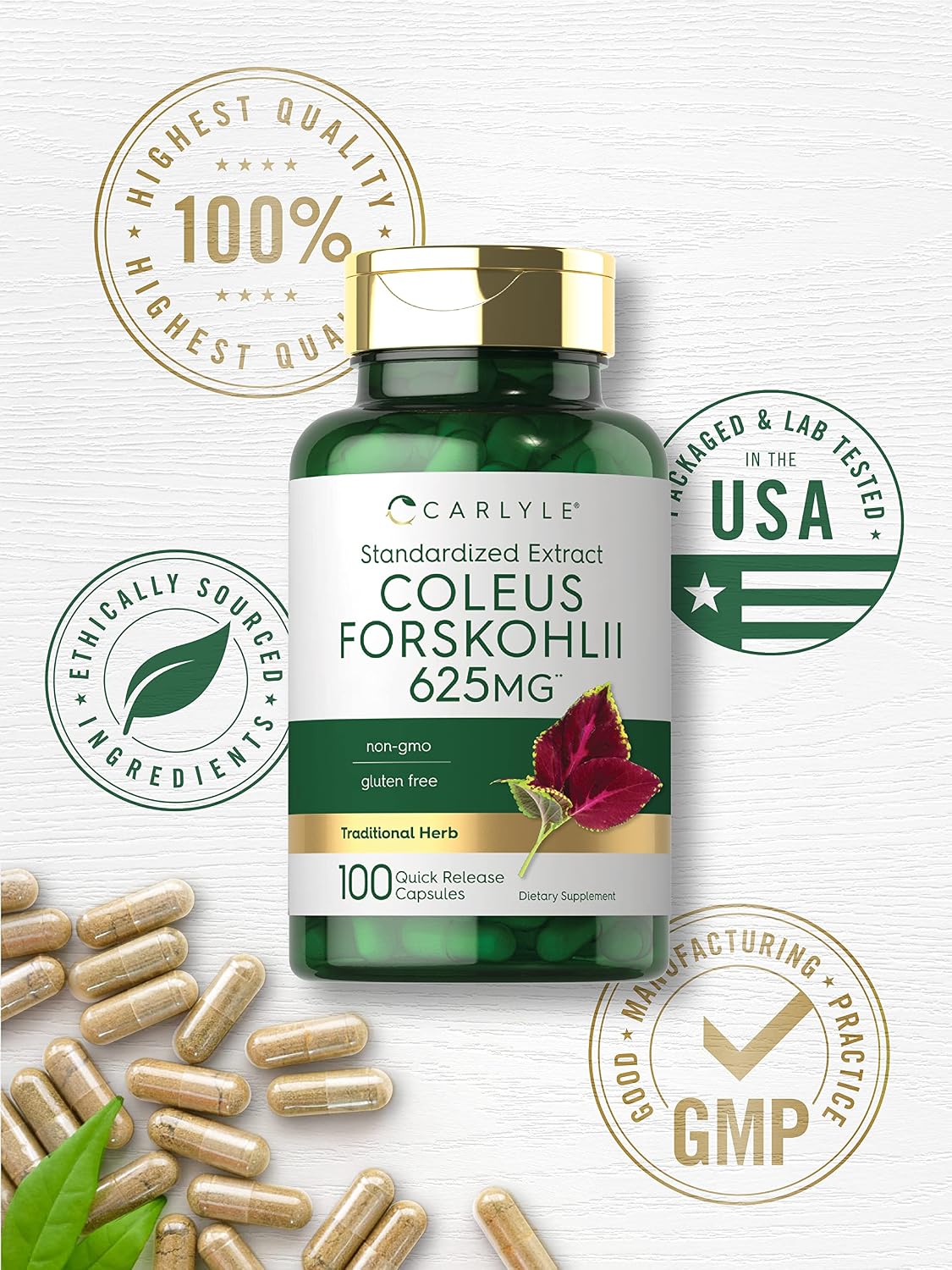 Carlyle Coleus Forskohlii Cápsulas - 100 Unidades | Extracto Estandarizado de Forskolina | Sin Gluten y No-GMO
