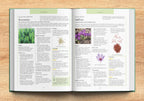 Ancient Remedies Revived