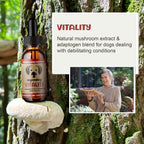 Vitality - 20-in-1 Turkey Tail Mushroom for Dogs - Mushroom & Adaptogen Supplement for Senior Dogs - Supporting Immune Health & Daily Wellness - with Reishi, Chaga
