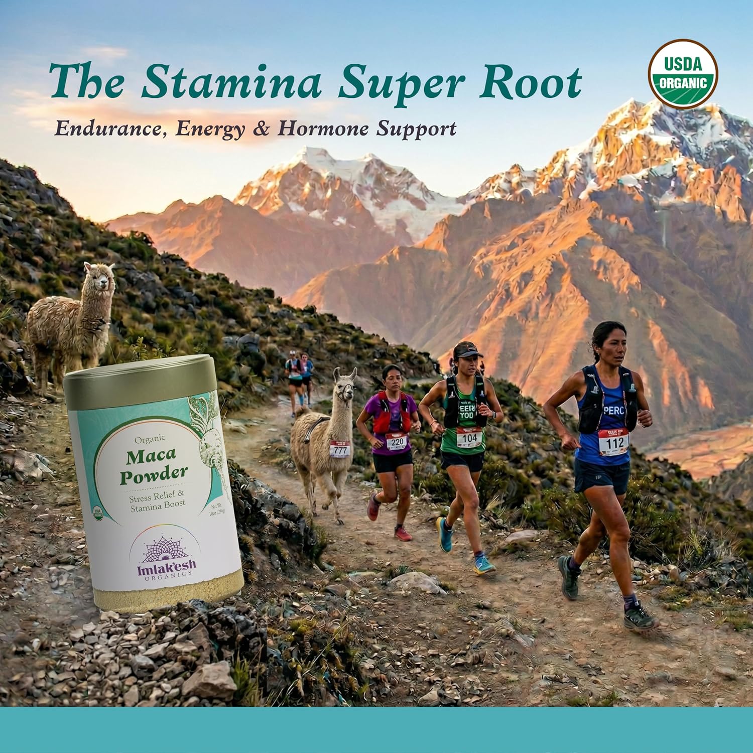 Imlak'esh Organics Maca en polvo orgánica (Bote Metálico de 283g)