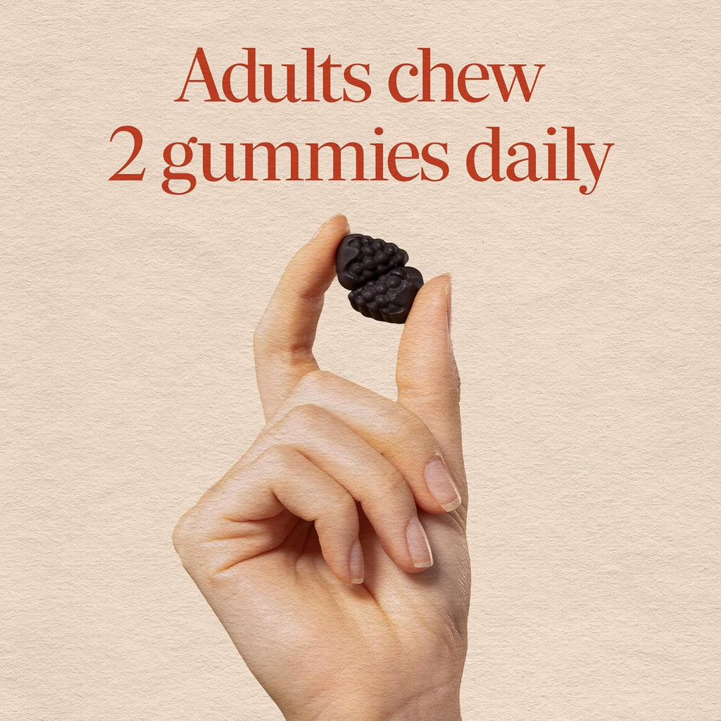 Nature's Way Brain Fuel Gummies - Gominolas para el apoyo cognitivo, con Cognigrape, vitaminas B6 y B12, sabor a uva, 60 unidades