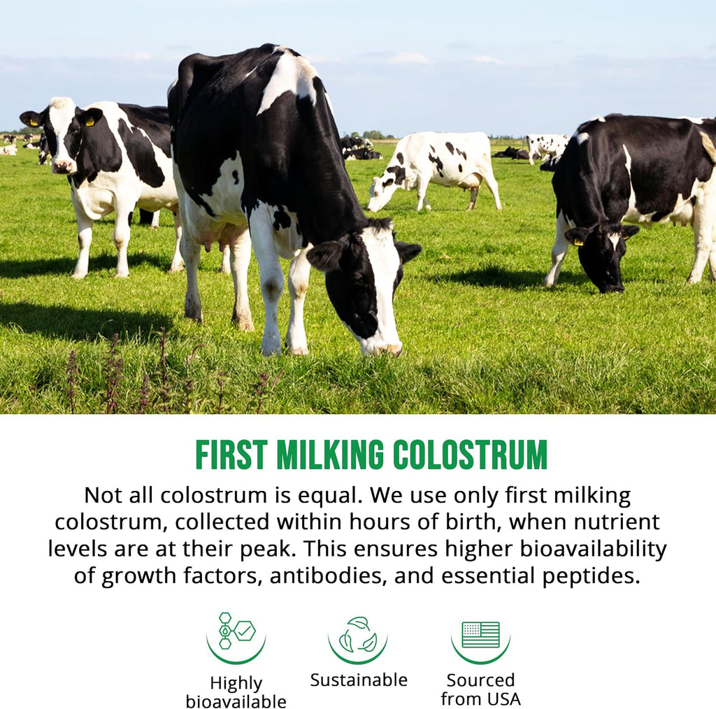 Suplemento de Calostro Bovino con 30% IgG - 60 Cápsulas